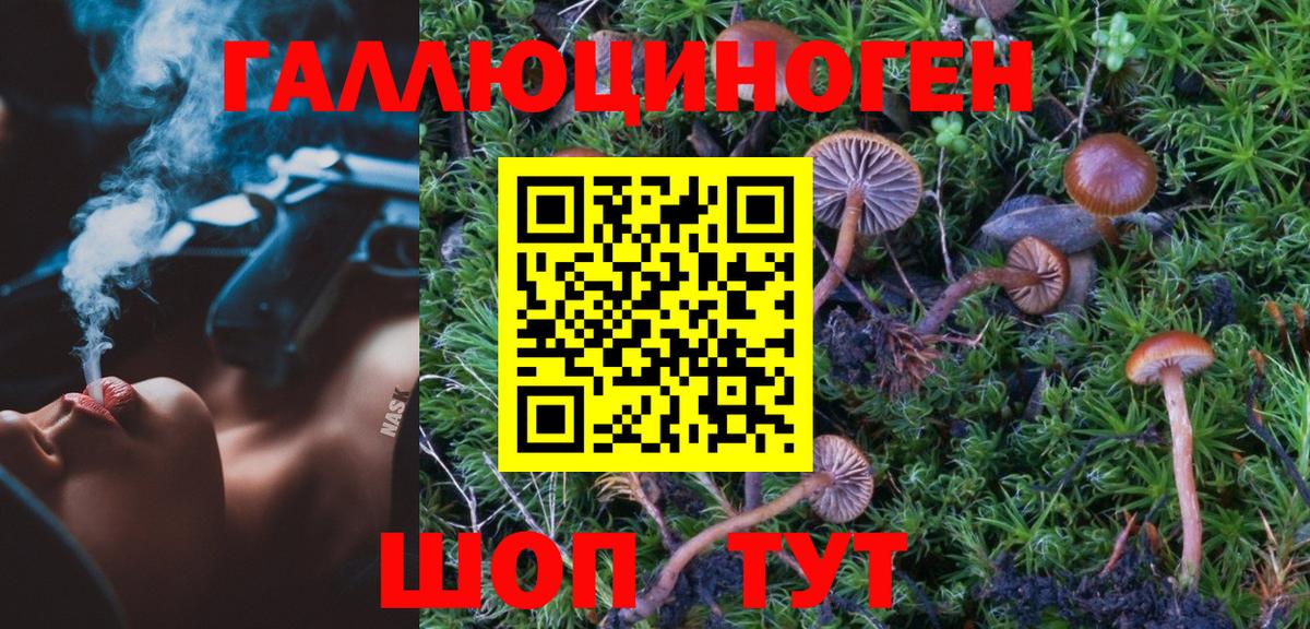 Псилоцибиновые грибы Psilocybine cubensis  Галлюциногенные грибы Cubensis  Минусинск  Вход с VPN 