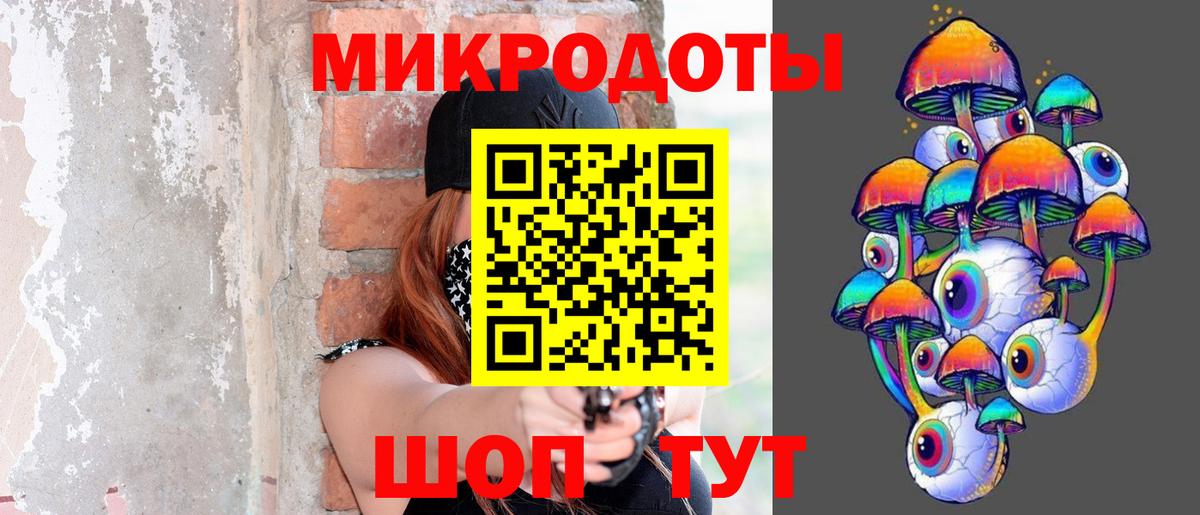 Галлюциногенные грибы Psilocybine cubensis Минусинск